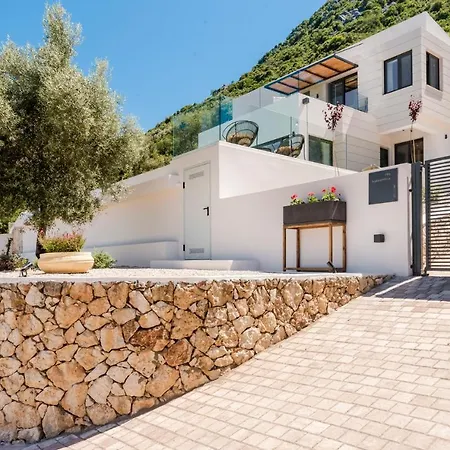Luxury Agapanthus Νικιάνα