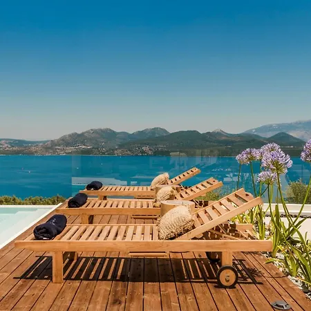 Luxury Agapanthus Νικιάνα