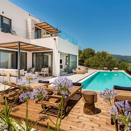 Luxury Agapanthus Νικιάνα
