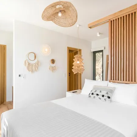 Luxury Agapanthus Νικιάνα